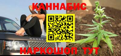 spice Новозыбков