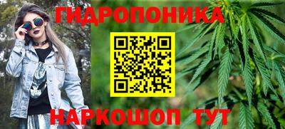 PSILOCYBIN Новокубанск