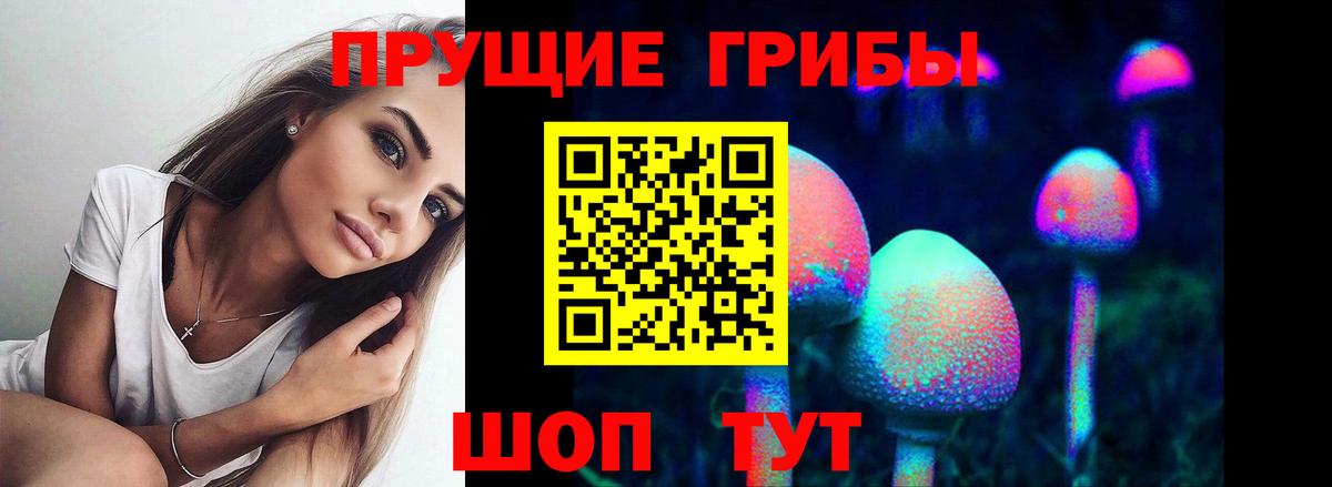 Галлюциногенные грибы Cubensis Алушта